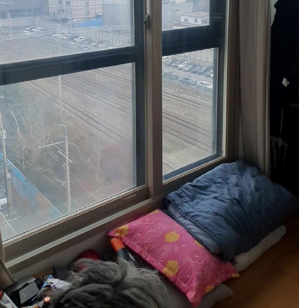 메인사진