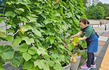 메인사진