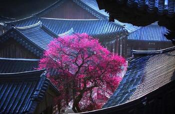 메인사진