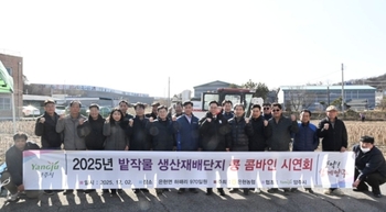 메인사진