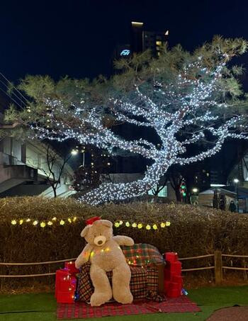 메인사진