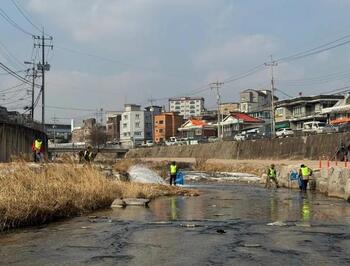 메인사진