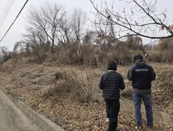 메인사진