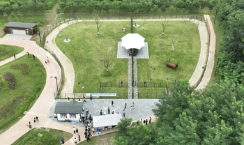 메인사진