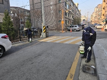 메인사진