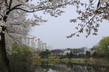 메인사진