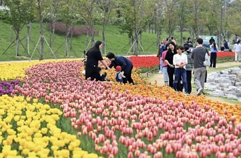 메인사진