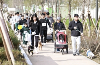 메인사진