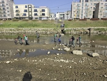 메인사진