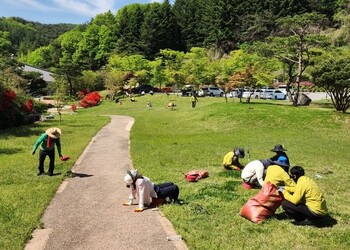 메인사진