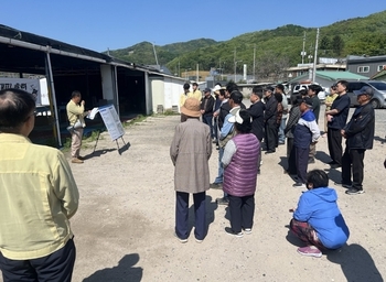 메인사진