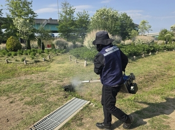 메인사진