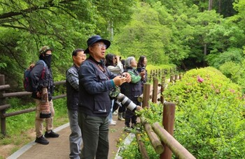 메인사진