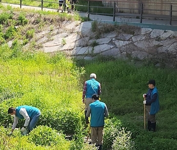 메인사진
